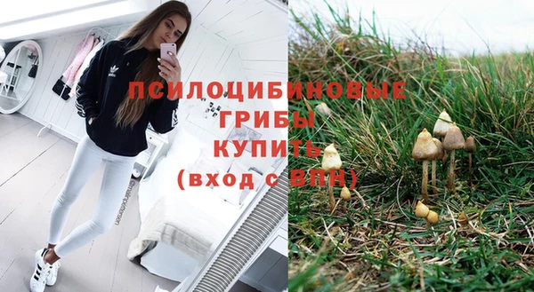 mdpv Долгопрудный